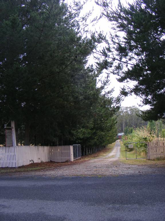 Villa Quamby Pines Chalet Deloraine Exterior foto